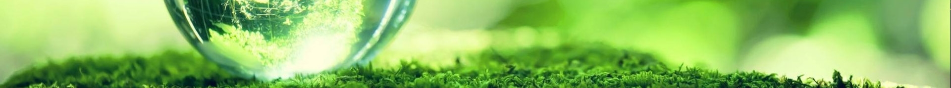 Ecology